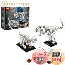 レゴ(LEGO) アイデア 恐竜の化石 21320