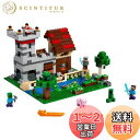 レゴ(LEGO) マインクラフト クラフトボックス 3.0 21161 おもちゃ ブロック プレゼント テレビゲーム 男の子 女の子 8歳以上