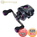 【送料無料】ダイワ(DAIWA) LIGHT SW X IC R カウンター付ベイトリール