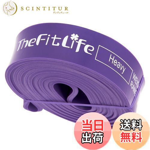 【送料無料】TheFitLife トレーニングチューブ 筋トレチューブ 懸垂チューブ (紫)