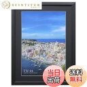 【送料無料】ハクバ HAKUBA 木製額縁 FW-04 ワイド4切 ブラック FW-4-BKW4