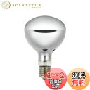 【送料無料】エルパ (ELPA) 屋外用レフランプ300形 電球 DIY 2800lm 270W 39mm 屋外/屋内兼用 ERF110V270W