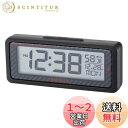 ナポレックス(Napolex) Fizz 車用電波時計 ブルーLEDバックライト付き 配線不要 バッテリー式 大型液晶採用 カレンダー表示機能 取付ステー付きで取り付け場所 角度調整も自由に可能 カー用品 Fizz-1013