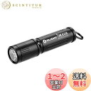 OLIGHT(オーライト) I3E EOS 懐中電灯 キーホルダーライト LEDライト ミニサイズ スムーズな調節 ねじ込み式スイッチ 90ルーメン ハンディー IPX8防水 小型 軽量 単4電池付き 停電対策 緊急用 キャンプ(ブラック)
