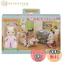 シルバニアファミリー お店 【 あこがれナースセット 】 H-13 STマーク認証 3歳以上 おもちゃ ドールハウス Sylvanian Families エポ...