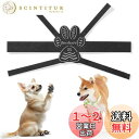 【改良バージョン】LOOBANI 犬 滑り止め 足 に 力 が 入ら ない 老 犬 滑り止め シール 足の甲に回す帯のデザイン より耐久性 粘着力が強い 滑り止め 肉球 保護 傷防止 すべり 止め 老犬補助 (XS-, 16, 枚)