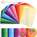 【送料無料】kesote おはながみ お花紙 24色 240枚フラワーペーパー ペーパーフラワー 紙 20×29cm