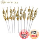 Phyxiul バースデー ナンバー キャンドル 0〜9 10点セット 誕生日 お祝い 高級 ろうそく 記念日キャンドルウエディングパーティー卒業パーティー (...
