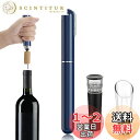 GreenGee エアーポンプ式ワインオープナー ワインの注ぎ口とコルク栓付き 2in1 空気圧ワインオープナー ポータブル コルク栓 抜きオープナー フォイル...