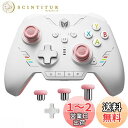 PC コントローラー、BIGBIG WON Rainbow 2 SE ワイヤレス コントローラー モーション コントロール、ホール効果トリガー、12 ビット ADC、ジョイスティック 3 セット、4方向十字キー、8方向十字キ PC APP、コントローラー Switch/PC/Android/iOS 用