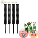 happykau モスポール支柱 4本セット連結可 観葉植物 園芸支柱 観葉植物モンステラ プラスチック 園芸 植物サポート屋内植物の成長をサポート 屋内植物の登山に使用 (4, ブラック)