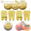 BTtime 歯の妖精コイント 8枚入り 褒美金貨記念コイン 歯と交換するコイン 乳歯生え変わり期 遊び道具 乳歯生え変わり記念 収納袋付き