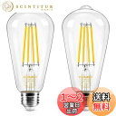【送料無料】DiCUNO LED電球 E26口金 60W形相当 6W 電球色 エジソン電球 700lm 2700K フィラメント電球 クリアタイプ 全方向 レトロ ST64 調光器非対応 2個入