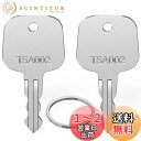 【送料無料】Mellbree TSA 鍵 TSA002用のロックキー 鍵 2本セット キーリング付き トラベルバッグ 荷物スーツケース鍵 マスターキー スペアキー TSA002互換
