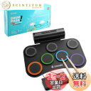 Donner 電子ドラムセット ロールアップ ドラムパッド スピーカー内蔵 2WAY給電 MIDI 録音機能 デモ12曲 9リズム 子供 初心者 フットペダル スティック オーディオ&USBケーブル 日本語取扱説明書付 DED-20R