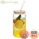 QuiExact ガラスコップ 500ml 1個セット 薄づくり ハイボールグラス 食洗機 電子レンジ対応 耐熱 グラス コップ ストロー付き 蓋付き うすはり...