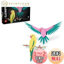 レゴ(LEGO) レゴアート 動物コレクション - コンゴウインコ おもちゃ 玩具 プレゼント 誕生日 ブロック クリスマス 男性 女性 絵画 アート インテリア オシャレ 動物 生き物 31211
