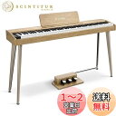 Donner 電子ピアノ 88鍵盤 でんしぴあの ベロシティセンシティブ鍵盤 タッチ MIDI 3本ペダル スタンド アダプター付 温かみを感じる木製 初心者 ...