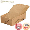 Ycozy 猫 爪研ぎ 段ボール 5枚入り ダンボール箱に猫爪とぎ 両面使える 猫爪とぎ 猫ベッド 猫つめとぎ 猫ソファー 掃除楽 室内猫/子猫専用