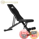 CuteeFox トレーニングベンチ マルチシットアップベンチ 折り畳み フラットベンチ 角度調節簡単 腹筋 背筋 ダンベルベンチ 収納便利 CTF (黒)