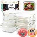 【送料無料】【料理雑誌掲載商品】 耐熱ガラス 耐熱容器 フタをしたまま 電子レンジ対応 オーブン 密閉 タッパー ガラス 耐冷 四角 長方形 蓋付き 保存容器 ...