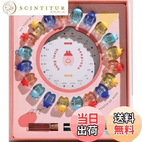 【送料無料】HIKOTO 乳歯 ケース 乳歯ケース ベビー用乳歯ケース 乳歯博物館 乳歯入れ 出産祝い ギフト 子供 男の子 女の子 (ピンク&透明)