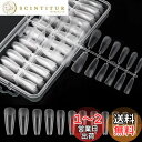 Annhua 透明 ネイルチップ 240枚セット 超薄 バレリーナ ネイル クリアチップセット クリアネイルチップ つけ爪 長さだし 透明ネイルチップ 自然なフ...