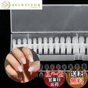 Annhua ネイルチップ 透明 艶消 大容量 300枚 オーバル ショート ネイルちっぷ 練習用 付け爪 ネイル長さだし 透明ネイルチップ 無地 超薄 ネイル...
