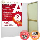 【送料無料】AUREUO 張りキャンバス セット F40 (100cmX80.3cm) 中目 100%コットン 2枚 初心者 絵画用具 芸術絵創作 現代油絵 美術装飾 水彩画・油絵画・アクリル兼用