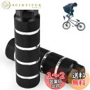WETARENDA 自転車ステップ 2本セット自転車ペグ 自転車用 ハブステップ ステップギアガード 自転車ペダル アルミ合金製 ギヤガード ファットバイク クロスバイク マウンテンバイク 取り付け簡単 安定性 耐久性 3/8インチアクスルに適合 二人乗り禁止