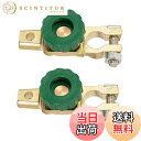 【送料無料】YFFSFDCバッテリーカット2点セットD端子用スイッチ カットオフ 回転式電源 スイッチバッテリー カットターミナル オフスイッチ バッテリー上が...