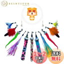 猫おもちゃ 猫じゃらし 羽のおもちゃ 12点セット 交換用の楽しい猫用おもちゃがたくさん ペット用品 猫のおもちゃ ノベルティ猫のおもちゃ 釣り竿なし 釣り糸で...