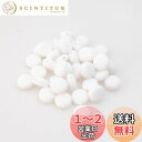 【BEAUTY PLAYER】ゴム紐調整ストッパー マスク ゴム 紐 調整100個 色選べる シリコン アジャスター 紐調整バックル ゴムストッパー 丸型 サイズ調節 滑り留め ハンドメイド 手作りアクセサリー 手芸 DIY用品 スレッディングツール付き (白)