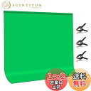 【送料無料】PULUZ グリーンバック 2×2m背景布 緑 グリーンスクリーン 袋縫い 撮影用バックペーパー green screen 厚手ポリエステル綿素材 撮影 背景 洗濯可能 3つ強力クリップ付き オンライン会議zoom用/クロマキー合成/バーチャル背景/リモート背景/全身写真用 (グリーン,