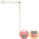 ROWNYEON アイライナーブラシ メイクブラシ 化粧ブラシ アイメイクブラシ 化粧筆 繊維毛 肌に優しい 柔らかい 細い 描きやすい 平筆 初心者 YM239
