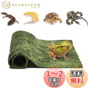 Hitasi 爬虫類 マット 爬虫類 床材 緑の色 人工芝マット 柔軟保湿吸水 ペットマット ケージ装飾 リクガメ 床材 両生類用床材 亀 コオロギ トカゲ カエル 昆虫飼育 通気性 洗える 造園装飾 テラリウム寝具 19*29.5CM