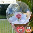 【LEISURE CLUB】10個入り 広口 透明バルーン クリアボボボバルーン アクアバルーン クリアバルーン バルーンフラワー ブーケ 花束 PVCバルーン 風船 透明な風船 ラテックス風船 セット きらきら風船 パーティー お祝い 花火大会 七夕 ウェディング 結婚式 記念日 お祝い