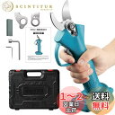 Elikliv 充電式剪定ばさみ 電動剪定バサミ 剪定 ブラシレスモーター採用 開き口30mm 高枝切りの延長ポールと接続可能 4段階開き角度調整可能 電動剪定...