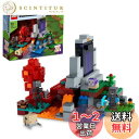 レゴ(LEGO) マインクラフト 荒廃したポータル ギフト 21172 おもちゃ ブロック クリスマスプレゼント 誕生日プレゼント テレビゲーム 男の子 女の子...