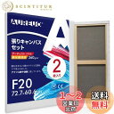 AUREUO 張りキャンバス セット F20 (72.7cmX60.6cm) 中目 綿化繊混紡 2枚 初心者 絵画用具 芸術絵創作 現代油絵 美術装飾 水彩画・...
