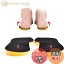 【送料無料】インソール O脚矯正 中敷き 土踏まずインソール 扁平足 アーチサポーター 衝撃吸収 ひざ・腰をかんわ 疲れにくい O脚たいさくグッズ 美脚 足裏ツボマッサージ 男女兼用 4サイズあり S(22~23.5cm)