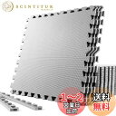 SOLPEX トレーニング ジョイントマット エクササイズマット 防音 衝撃吸収マット ホームジム 大判 ジムマット 60cm×60cm×1.2cm 6枚/12...