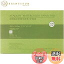 MEEDEN 画用紙 水彩紙 20枚入 中目(冷間圧紙)8K規格 380×260mm 超厚口300g 100%コットン無酸 水彩画紙 水彩絵具/水彩毛筆/水性ペ...
