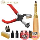 Odowalkerレザークラフトセット レザーパンチツール 工具 菱目打ち 目打ち レザークラフト スクリューポンチ 2歯 4歯 穴あけ レザーパンチ 静音 ツール サイレント セット 静か