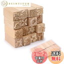 Sumnacon 陶芸 粘土 道具 印花 型 木製 陶芸用品 粘土印花ツール ハンドローラー 違い模様 (16本セット)