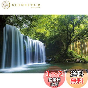 1000ピース ジグソーパズル 癒しの水簾(熊本県鍋ヶ滝) (50x75cm)