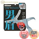 貝印(Kai Corporation) メンズアイブローガイド 男眉 1個 (x 1)