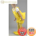 【送料無料】NEW ぴーよこちゃん
