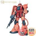 ガンプラ PG 1/60 MS-06S シャア・アズナブル専用 ザクII (機動戦士ガンダム)