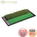 Tabata(タバタ) ゴルフ ショットマット ショット用マット ゴルフ練習用マット ショット&ラフマット 2WAY アプローチパンチャー GV0260